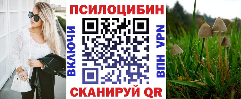 Псилоцибиновые грибы GOLDEN TEACHER  сколько стоит  Гдов 
