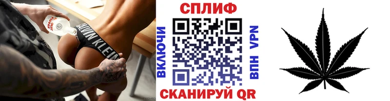 Каннабис конопля Гдов